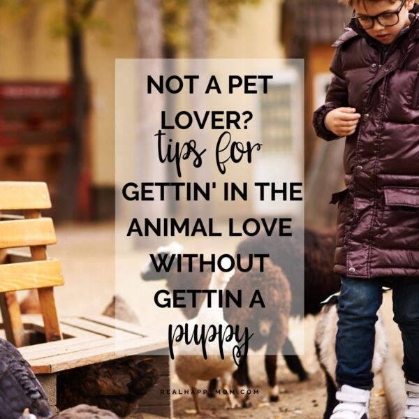 Not a Pet Lover? Tips for Gettin’ in the Animal Love WITHOUT Gettin a Puppy!